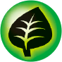 Planta